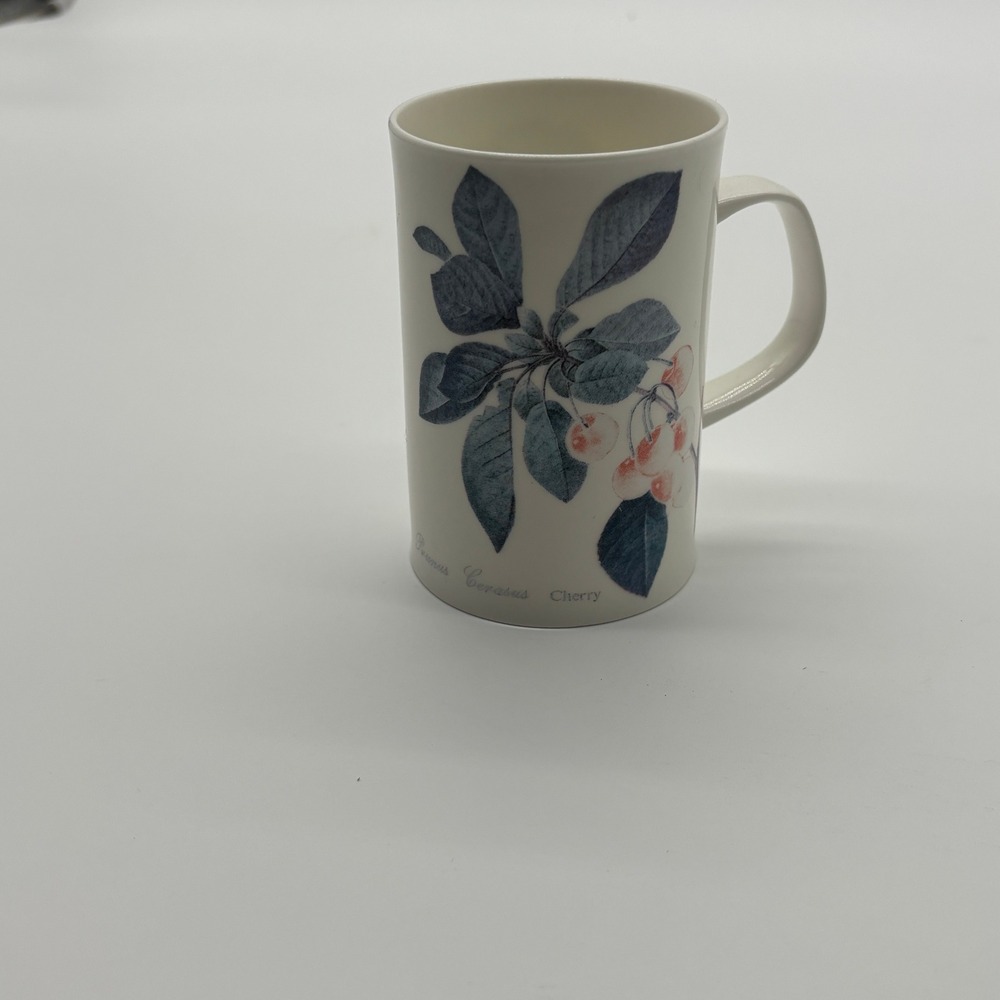 Dunoon Fine Bone China  Botanical‎ Fruit Cherry Raspberry Design Coffee Tea Cup
